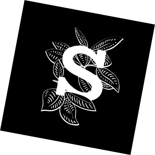 Socrate-insta-feed-5