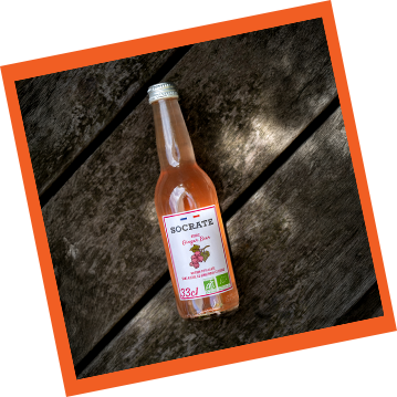 socrate-drinks-Boissons-pétillantes-biologiques-sans-alcoolRoyale-Ginger-Beer-2